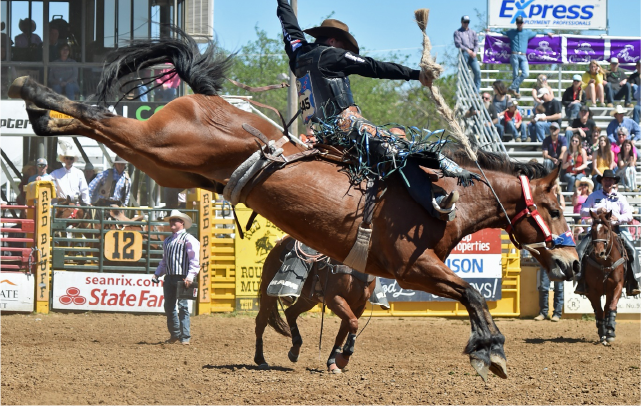 Tehama County Rodeo